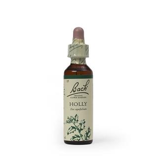 Holly (boa vontade) floral de bach