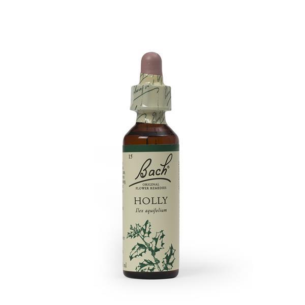 Holly (boa vontade) floral de bach