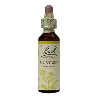 Mustard (estabilidade) floral de bach