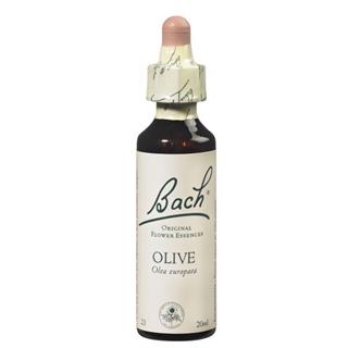 Olive (dinamismo) floral de bach